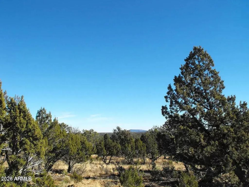 4131 Sunset Ridge Loop (unit -), Happy Jack
