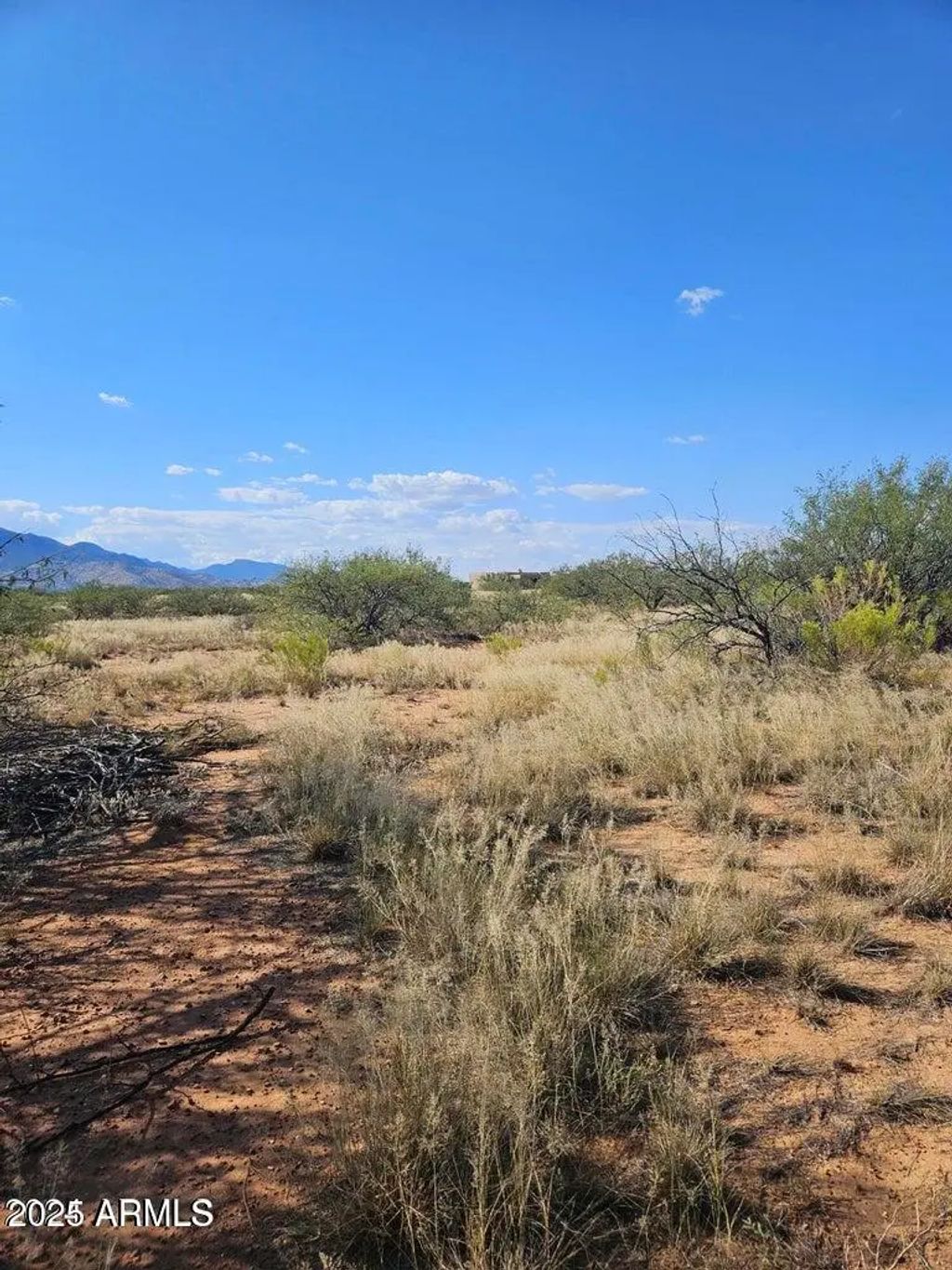 Tbd 8 Ac's Off Desert Sumac B Drive (unit B), Hereford