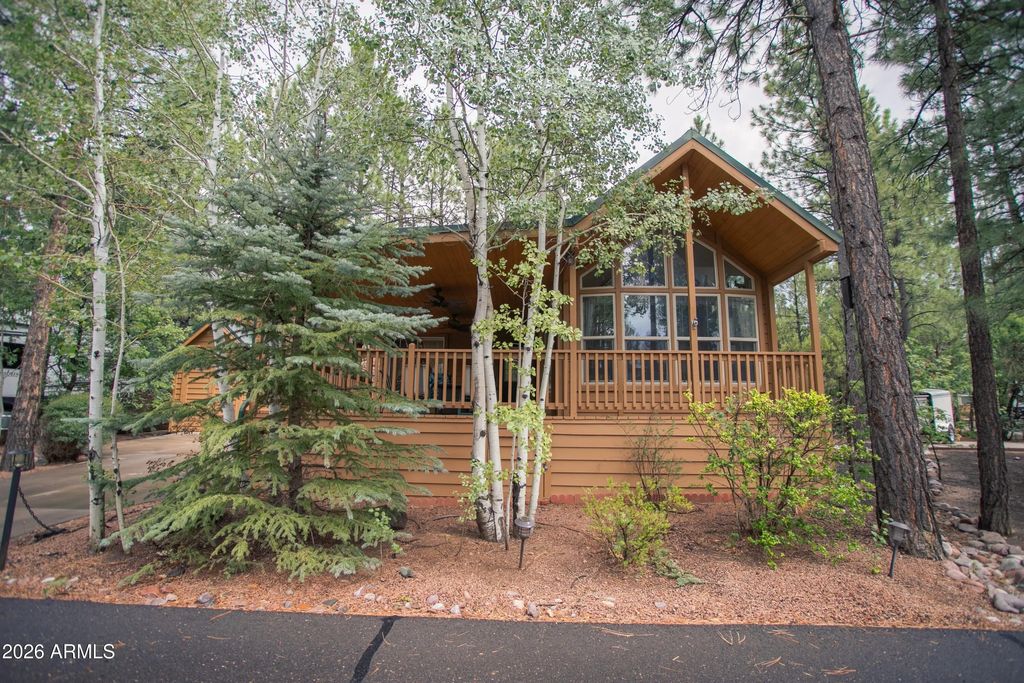 2211 E Hanging Tree Trail, Show Low