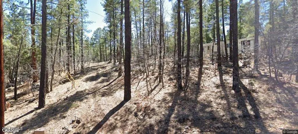 1437 E Elk Lane (unit 33), Pinetop-Lakeside