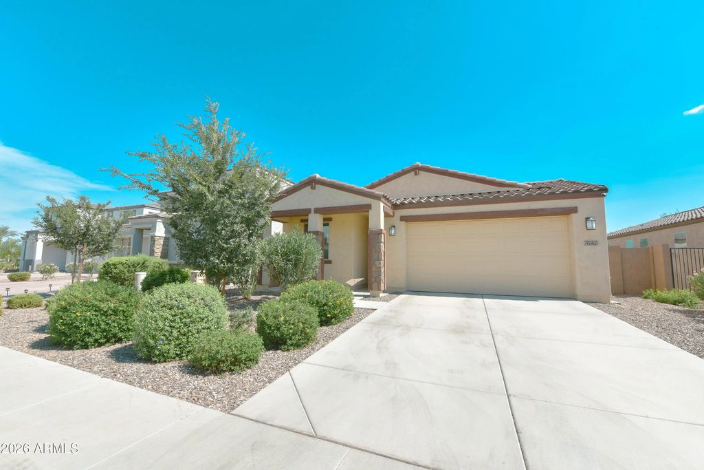 3747 E Woolystar Lane, San Tan Valley