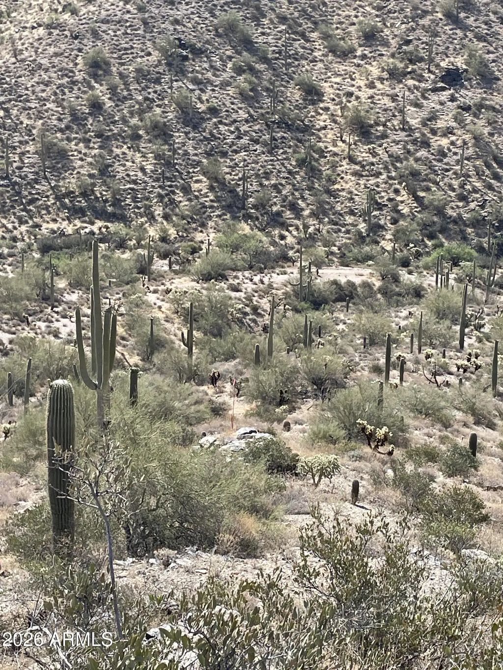''3'' N Silver Tip Trail (unit P), Queen Valley
