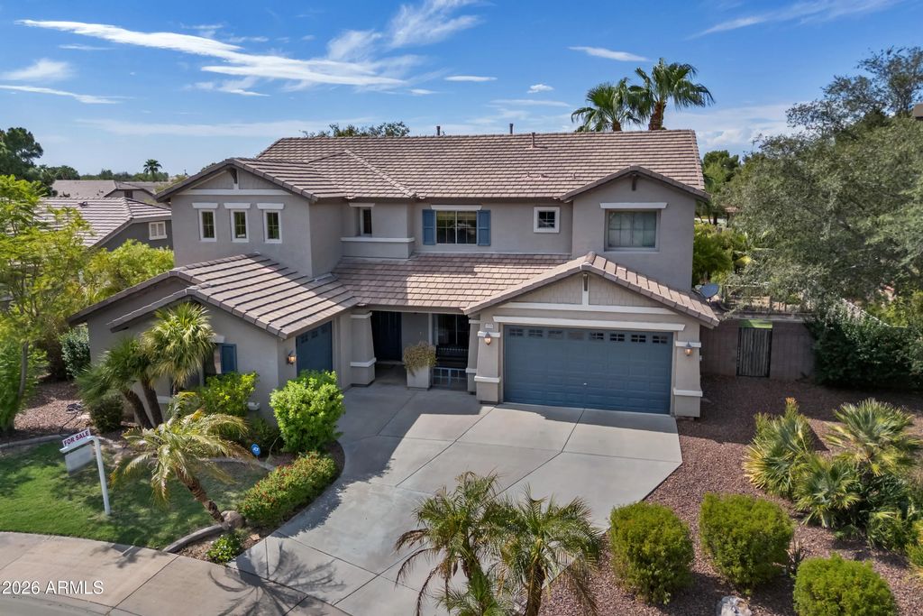 18586 E Cattle Drive, Queen Creek
