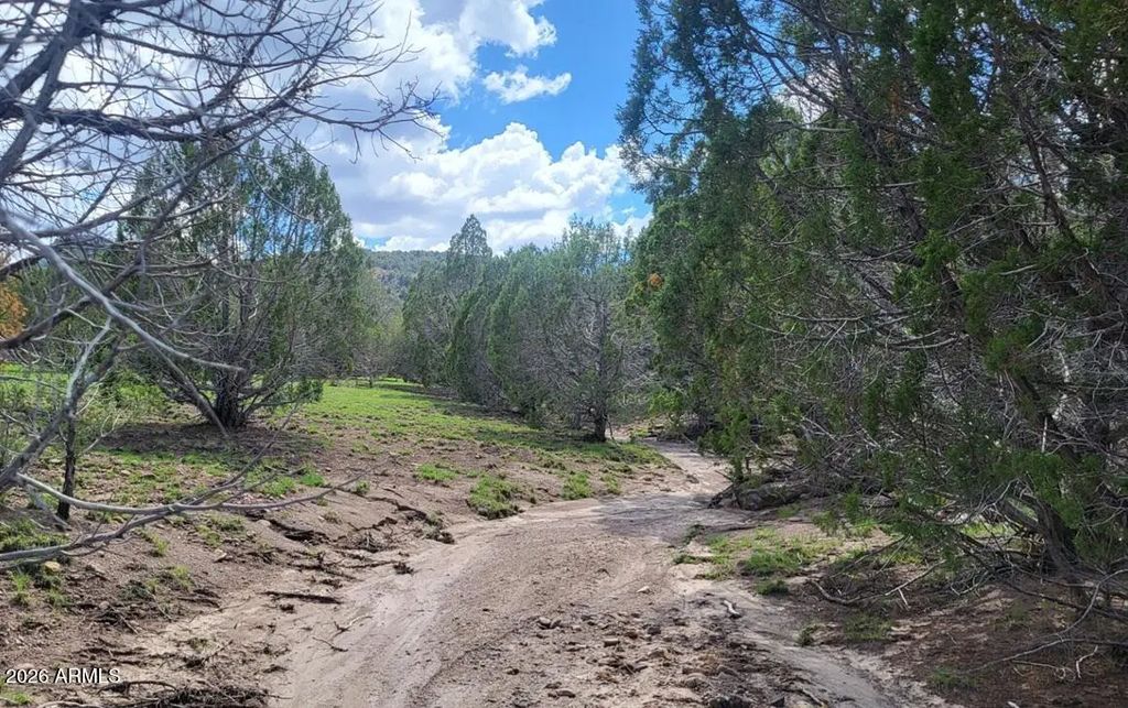 111 N Ranch Road (unit 111), Williams