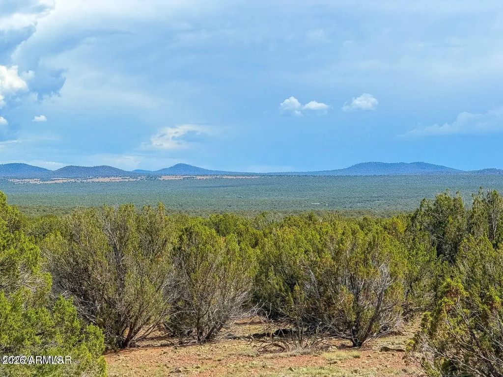 Gample Ln 13 Acres (lot A) -- (unit -), Show Low