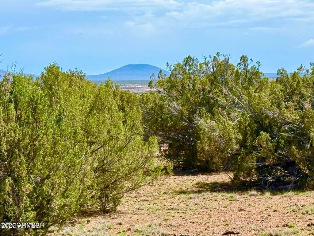 Gample Ln 13 Acres (lot C) -- (unit -), Show Low