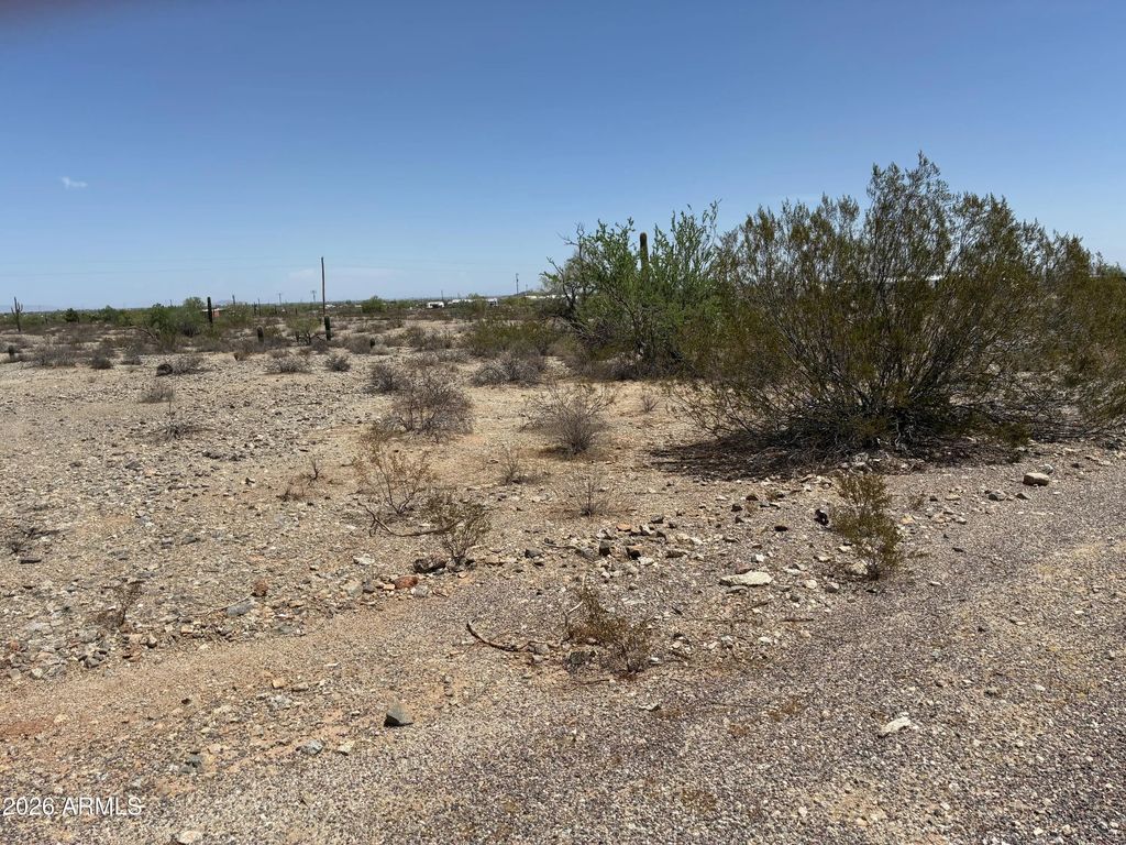 W Pampas Grass Road (unit 73), Maricopa