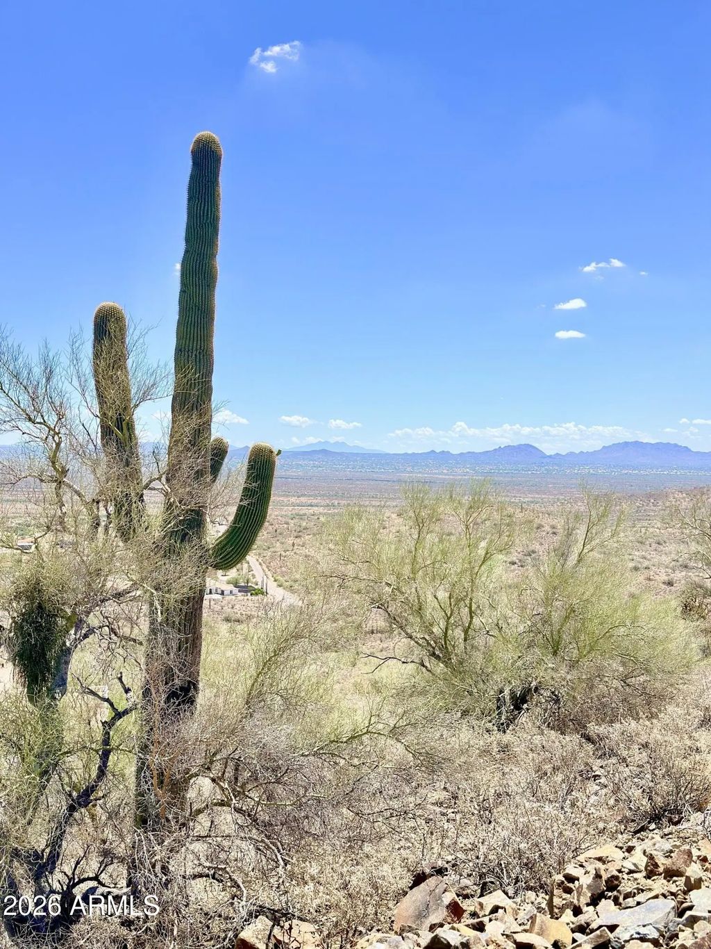 517 E Old West Way (unit -), Phoenix