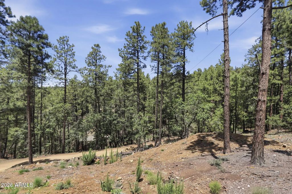 4696 S Jack Pine Road (unit 17), Prescott