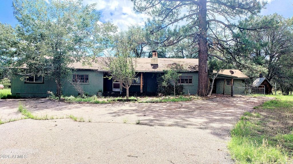 45985 N Az Highway 288, Young
