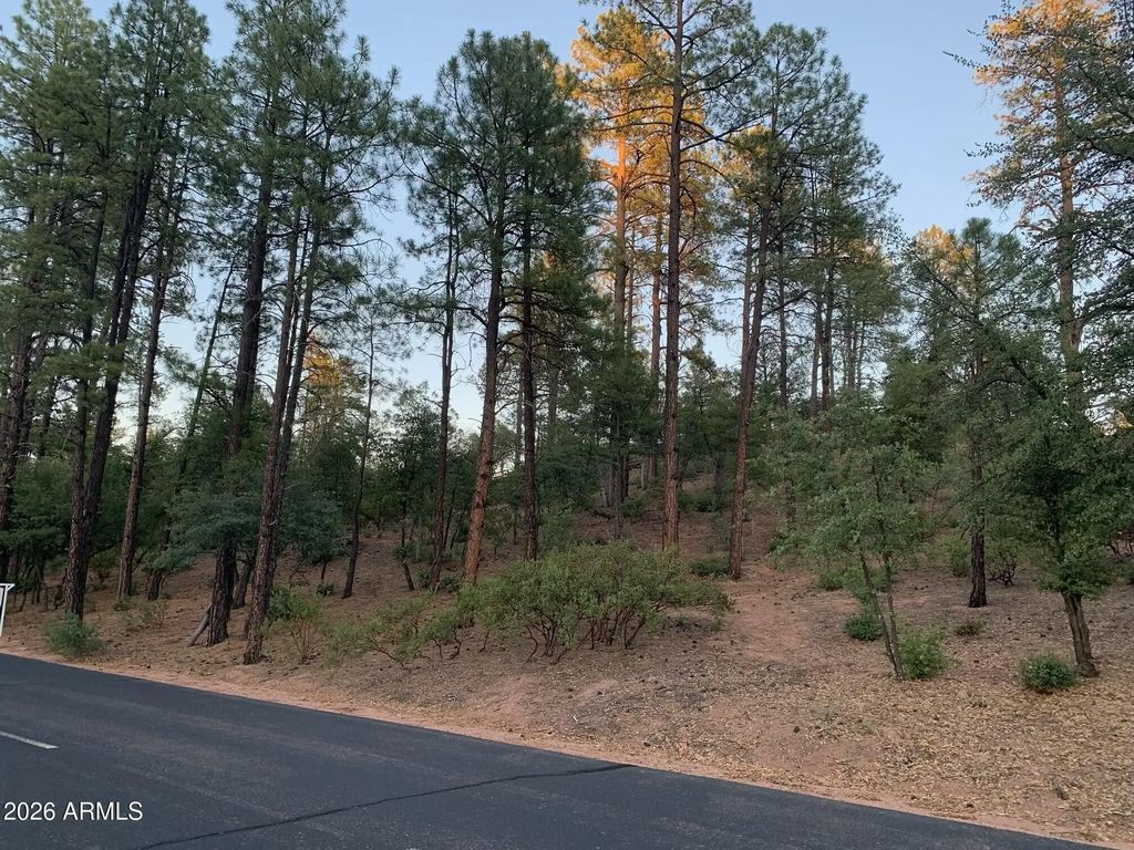 805 S Monument Valley Drive (unit 166), Payson