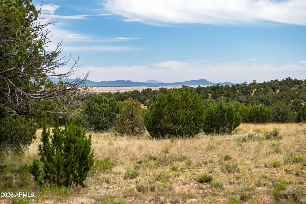 000-b Pine Ridge Trail Rd -- (unit 50), Seligman