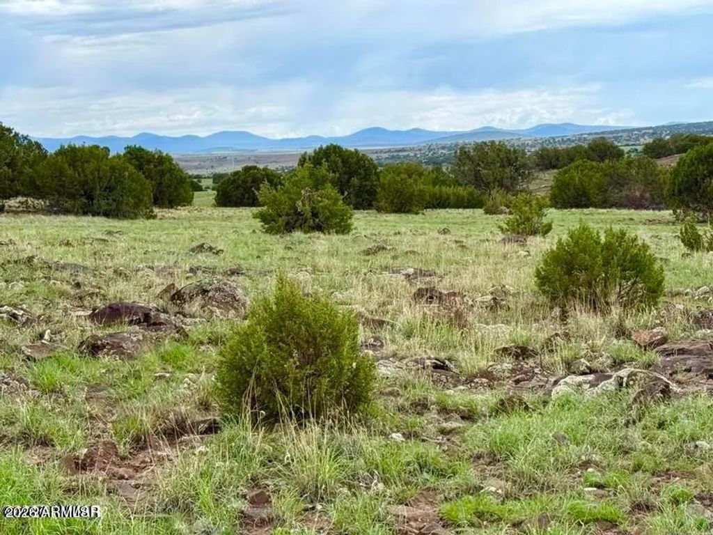 85 Co Rd 8128 Lots 100, 101 & 108 3.33 -- (unit -), Concho
