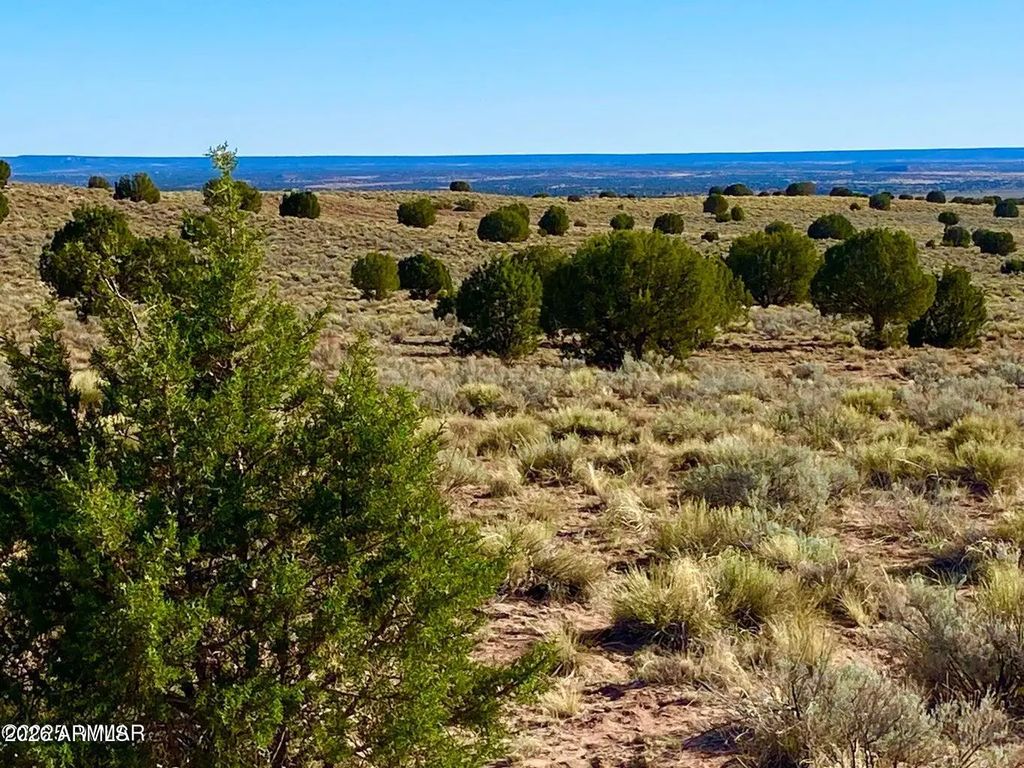 River Meadows Ranch Unit 3 Lot 204 -- (unit -), Concho