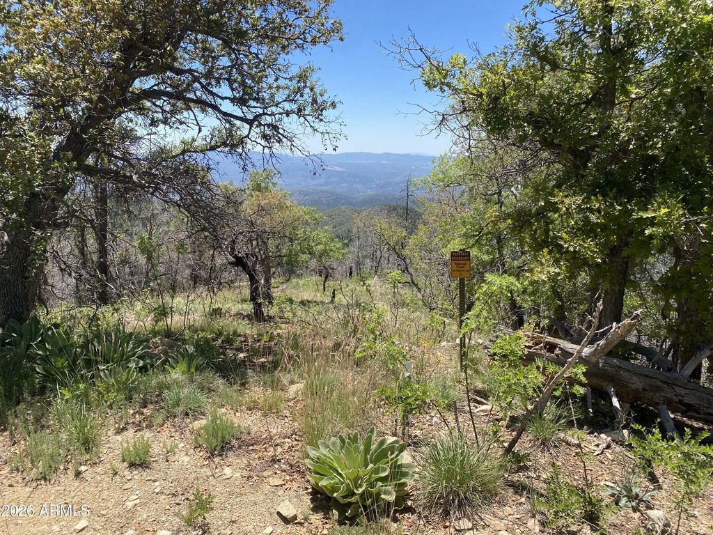 1002 S Turkey Trot Trail (unit -), Prescott