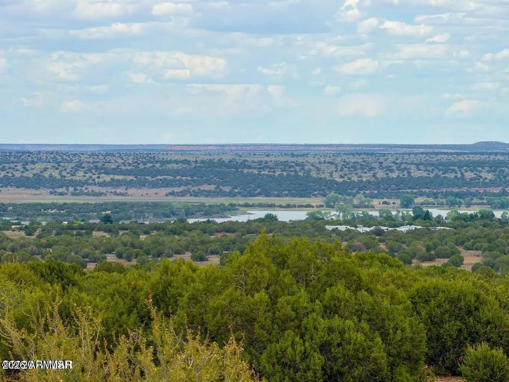 8063 Mustang Ln 10 Acres -- (unit -), Show Low