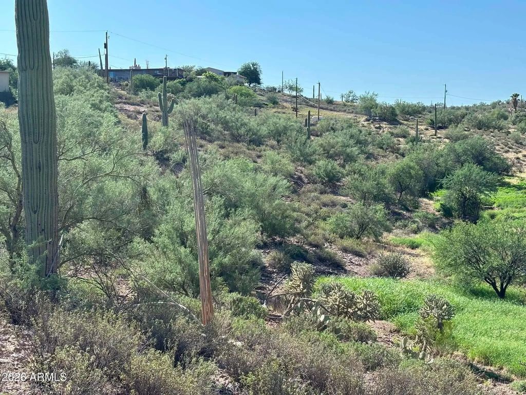 209 N Elizabeth Street (unit 103), Gold Canyon