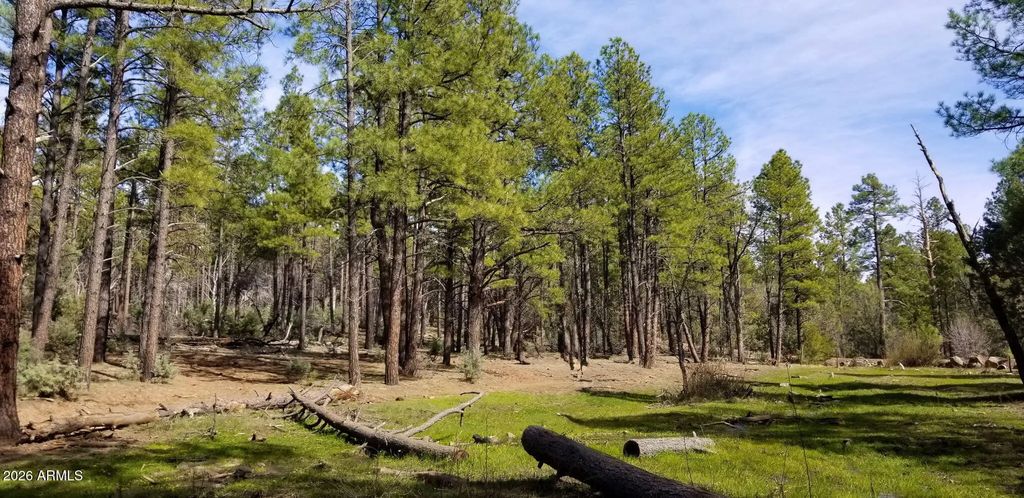 2259 E T Bear Trail (unit '-'), Lakeside