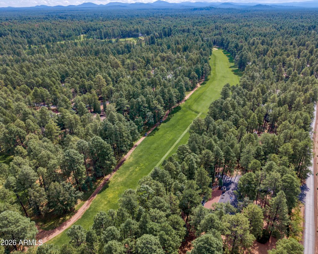 2864 Woodpecker Lane, Pinetop