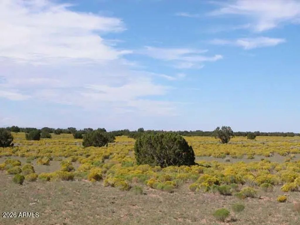 206-10-409 Bar Nothing Ranch Road (unit -), Chambers