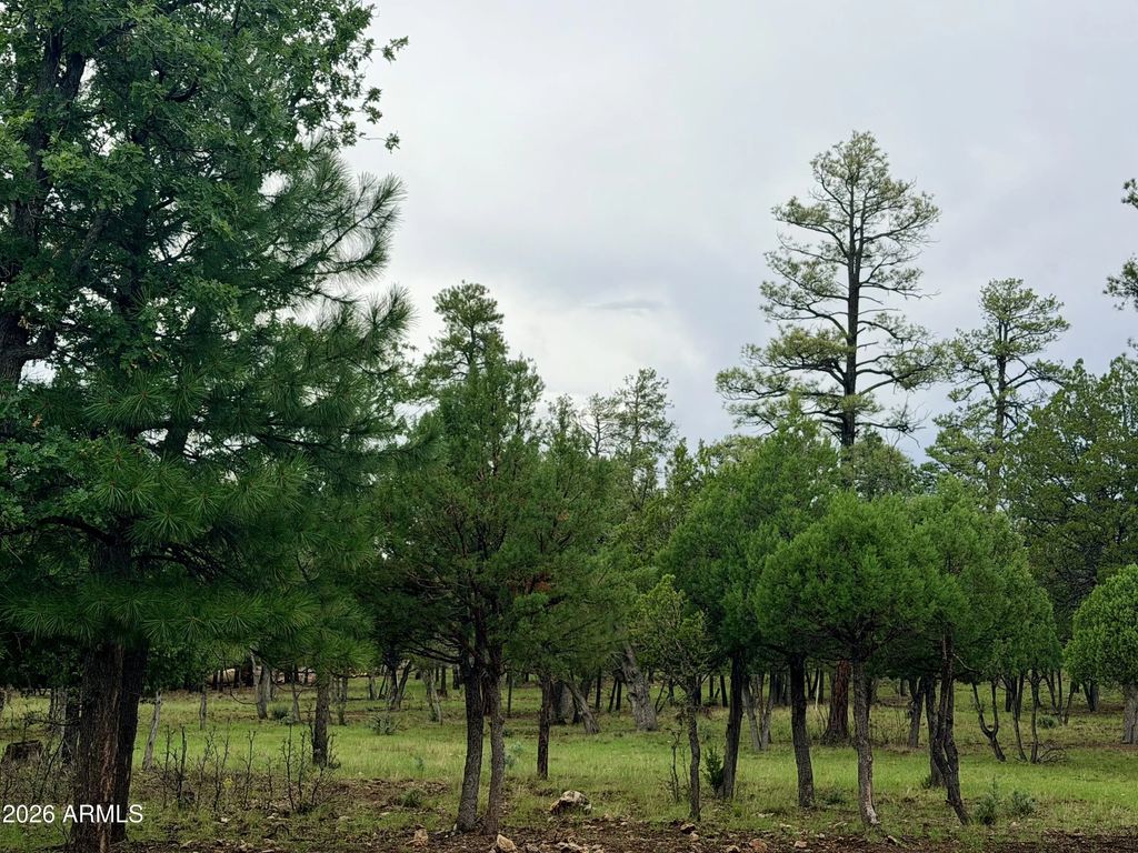 4517 Durango Drive (unit 374), Happy Jack