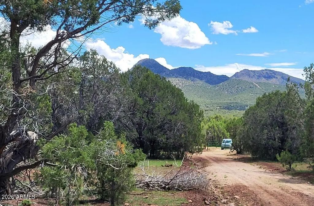 13664 Round Mountain Expressway, Williams