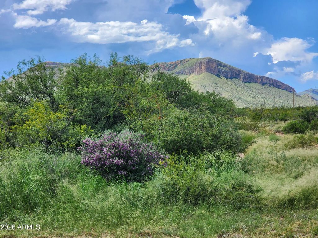 Lot 5 E Highway 82 -- (unit 2), Huachuca City