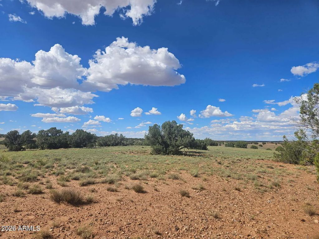 144 N County Road 9027 -- (unit 47), Concho