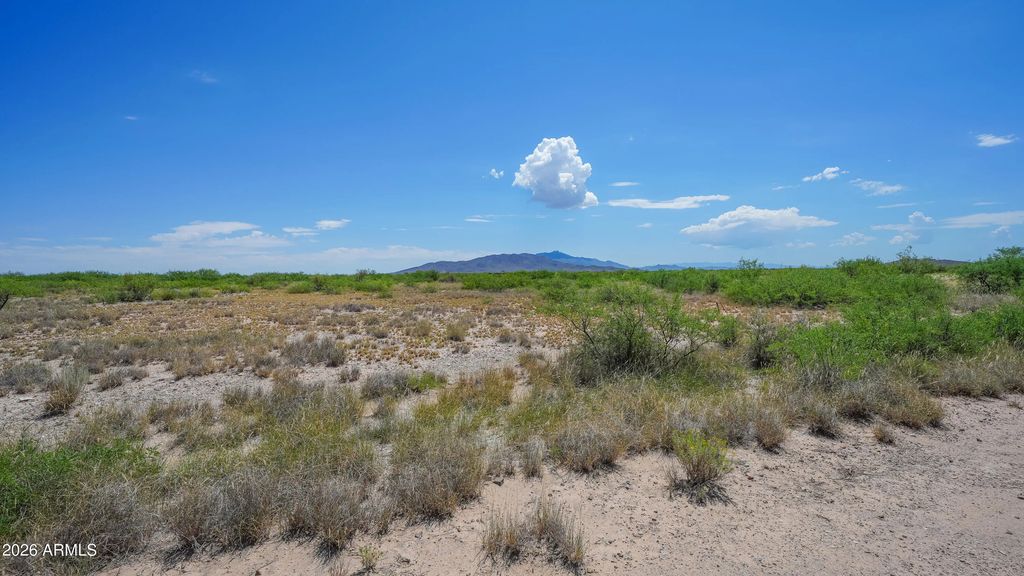165 N Blue Jay Road (unit 165), Willcox