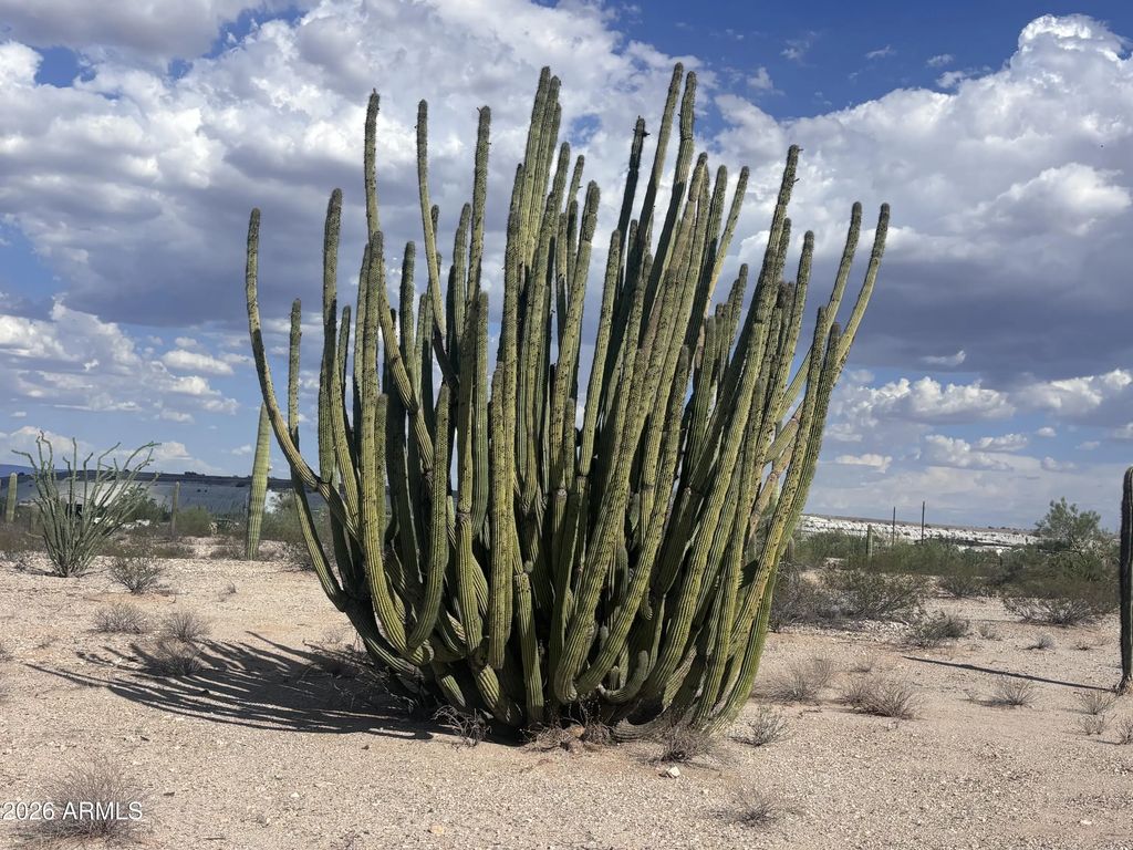 810 W Rasmussen Road (unit '-'), Ajo