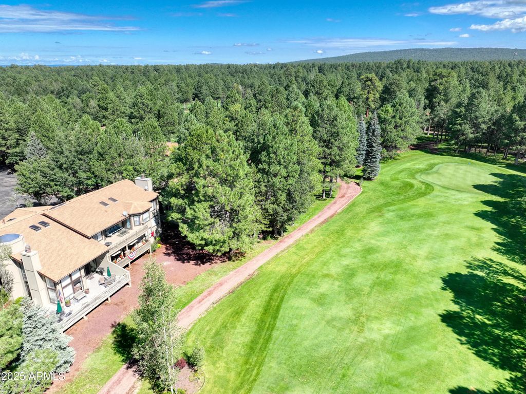 3651 Crown Dancer Drive (unit 8a), Pinetop