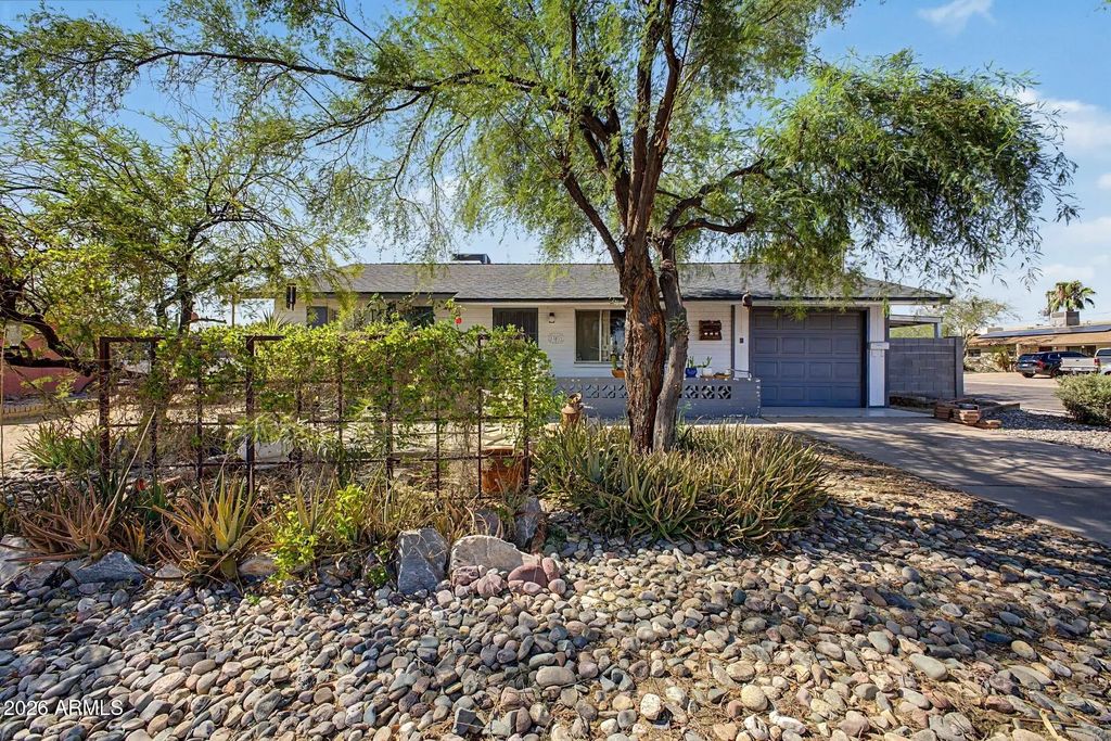 15031 N 24th Place, Phoenix