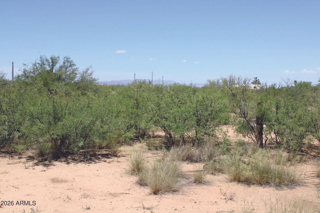 5 Acres E Papago Way (unit 310), Cochise