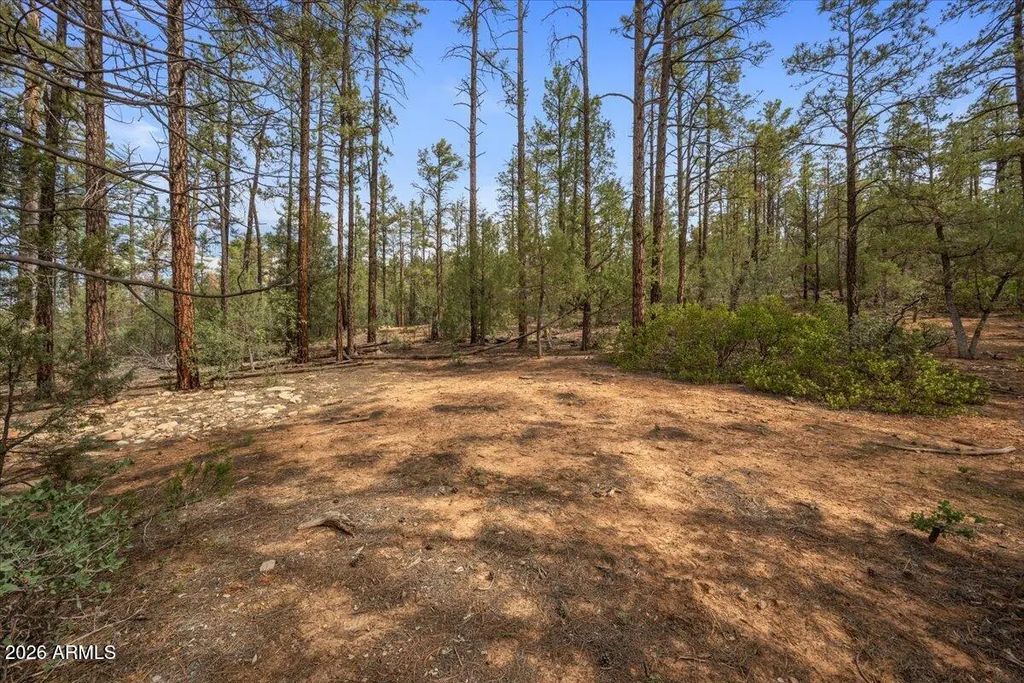 Tbd Pine Needle Drive (unit -), Show Low