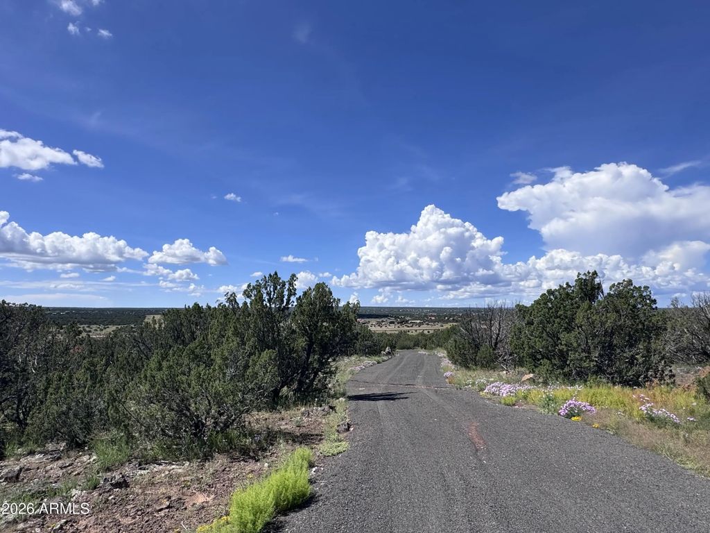 1939 Bourdon Ranch Road (unit -), Show Low