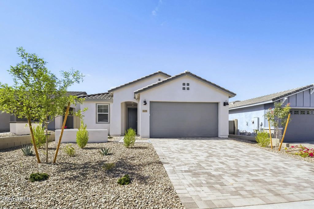 30291 W Wild Hazel Drive, Buckeye