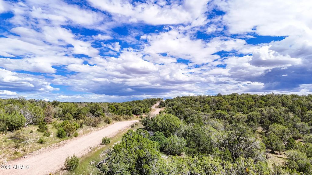W Elkhorn Pass 36 Acres -- (unit -), Seligman