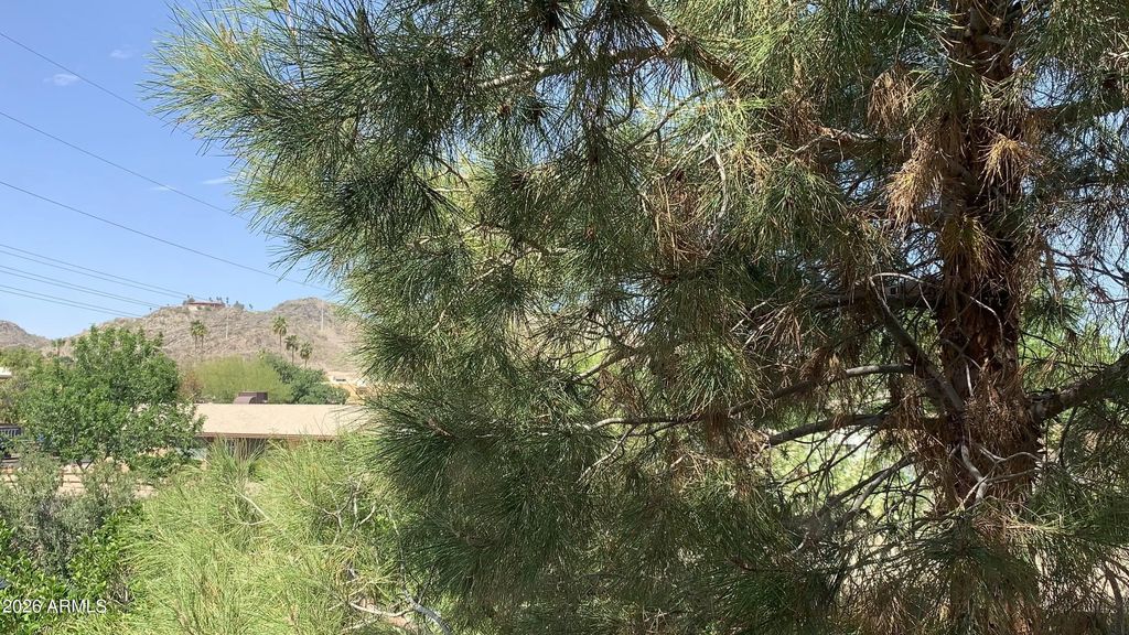 10410 N Cave Creek Road (unit 2100), Phoenix