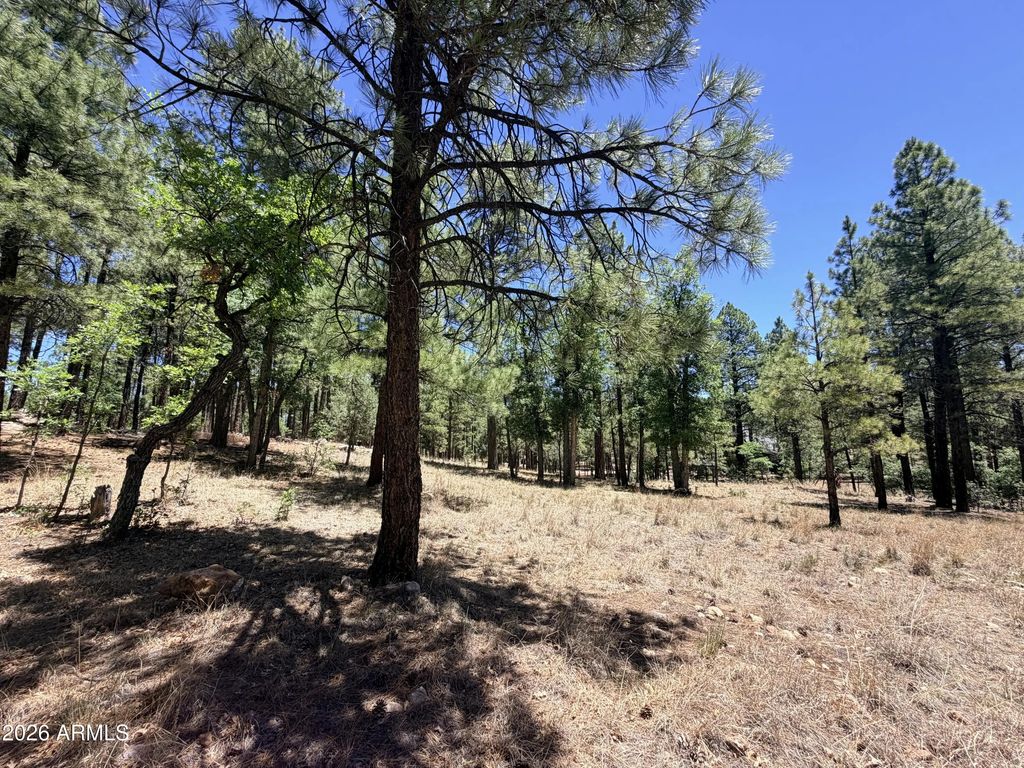 4215 Apache Drive (unit 428), Happy Jack