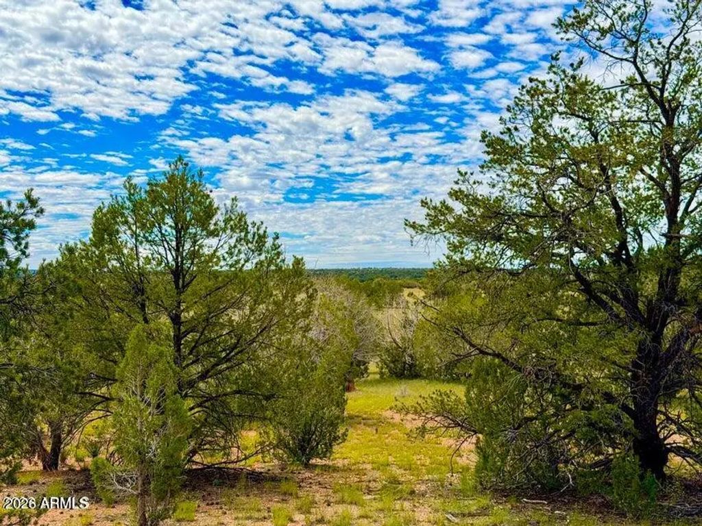 Dusty Rose Ranch Lot C 12 Acre -- (unit -), Seligman