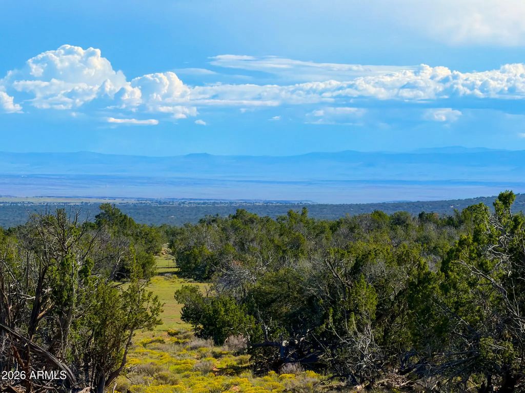 Tbd Co Rd N7480 40 Acres -- (unit -), St Johns