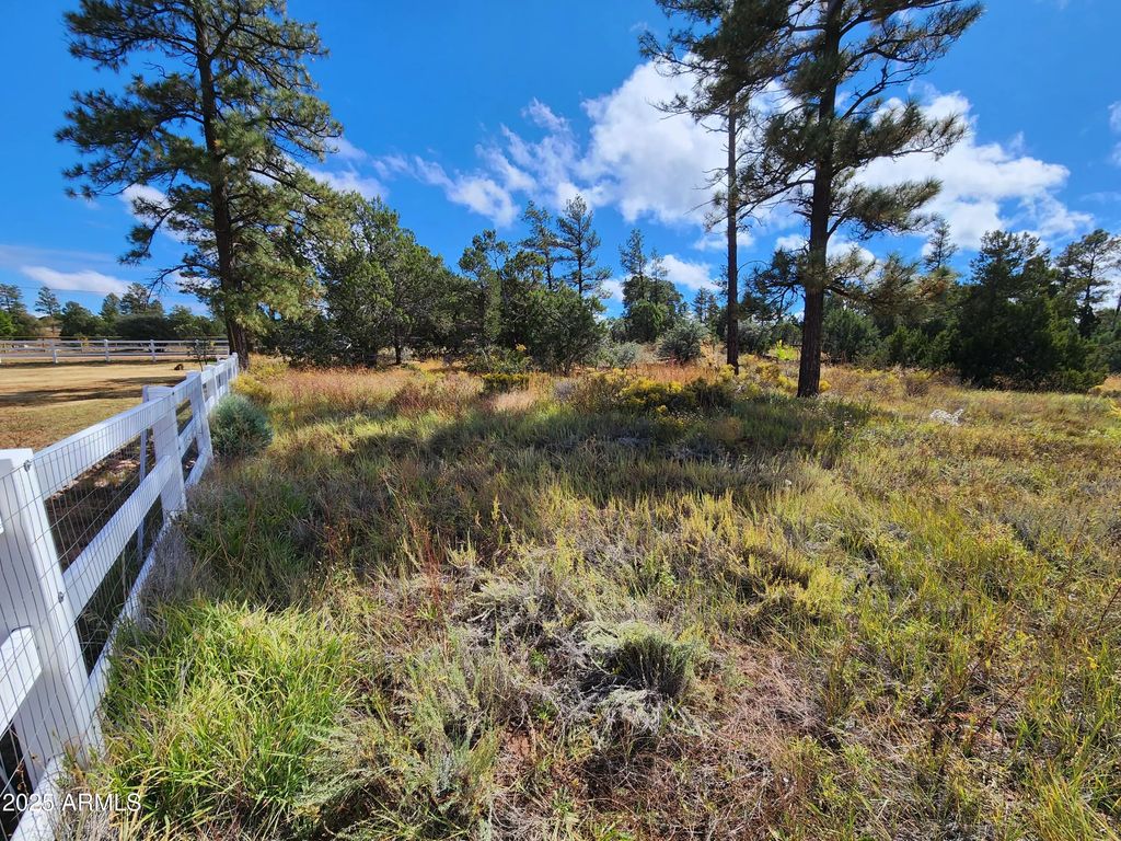 6662 State Route 260 -- (unit -), Show Low