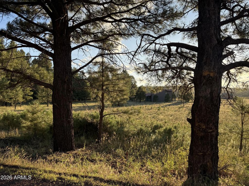 184 High Point Drive (unit C), Mormon Lake