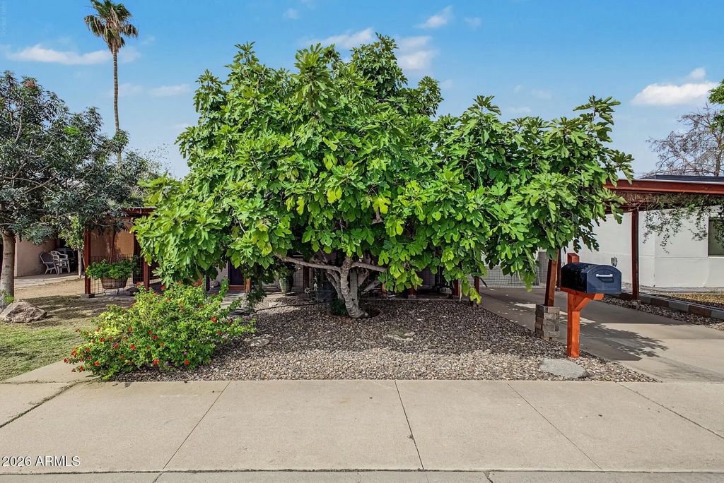 208 N Horne, Mesa