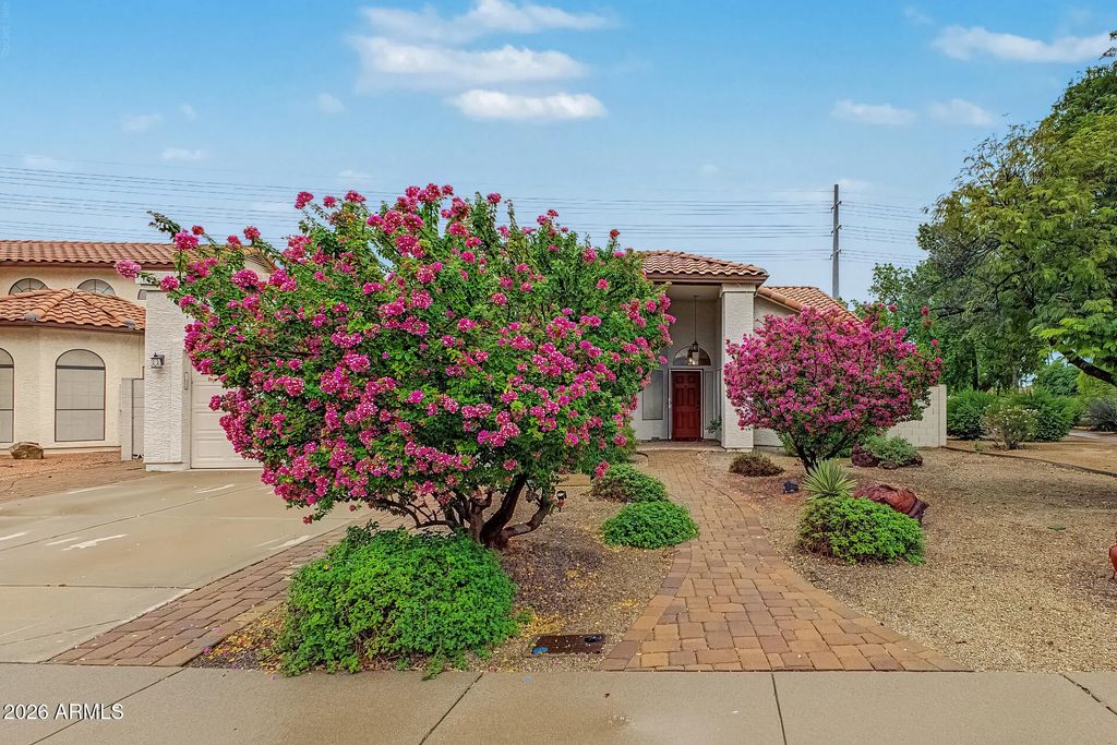 966 N Saint Elena Street, Gilbert