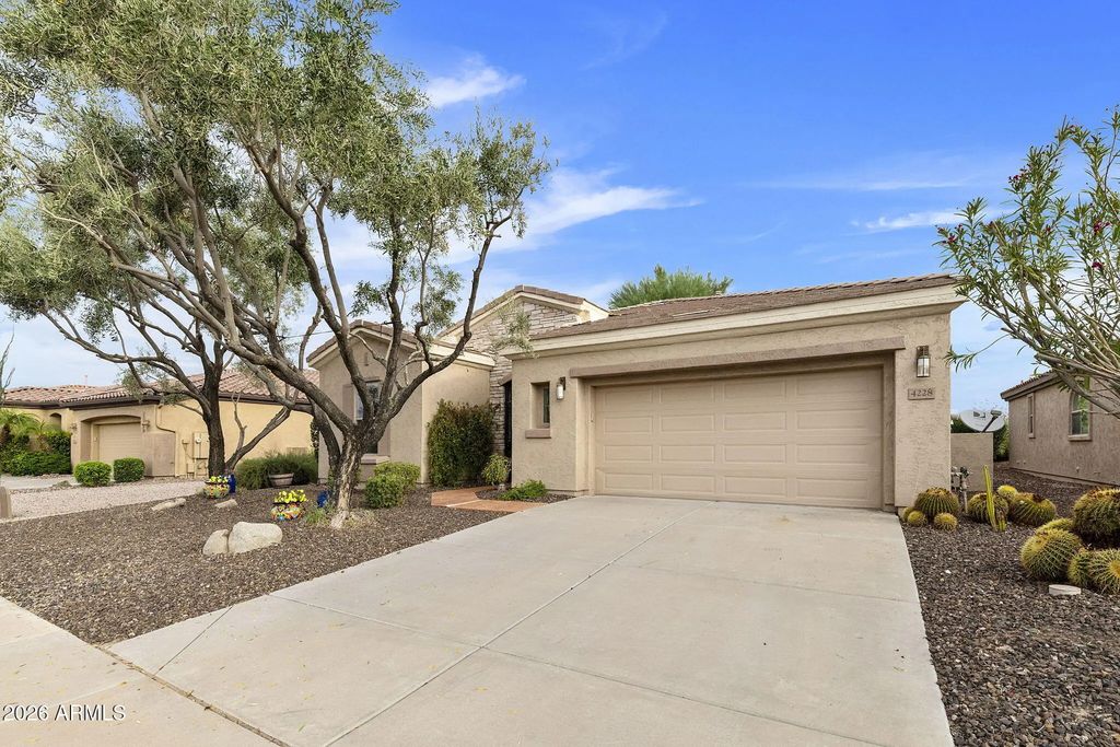 4228 E Carob Drive, Gilbert
