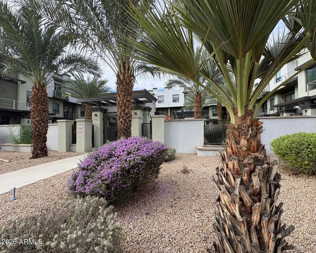 7788 E Main Street (unit 1002), Scottsdale
