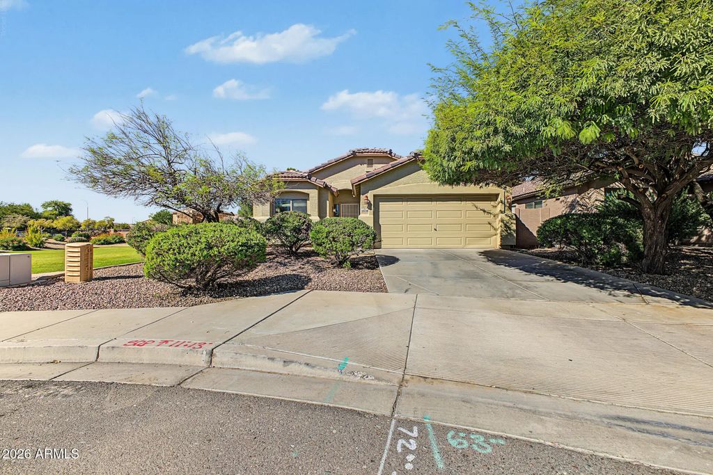 10238 W Veliana Way, Tolleson
