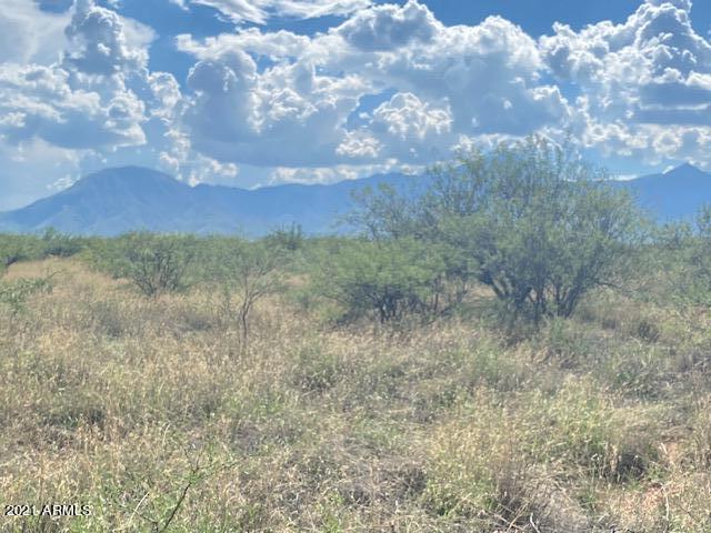 Photo of Listing #6744909