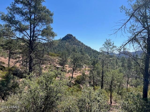 Photo of Listing #6758080